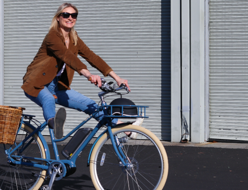 Faces of Entrepreneurship: Jen Cohen Bogan, Bluejay Electric Bikes