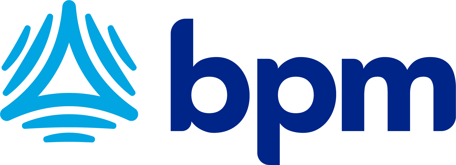 BPM Accounting and Consulting Firm logo
